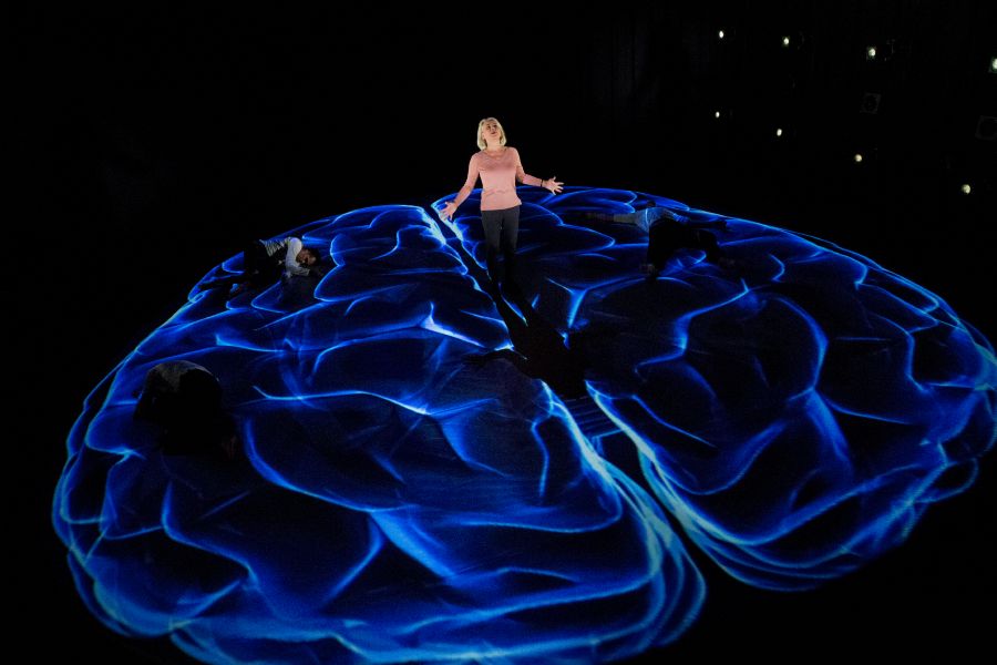 Med Sne på Det Kongelige Teater, anmeldelse